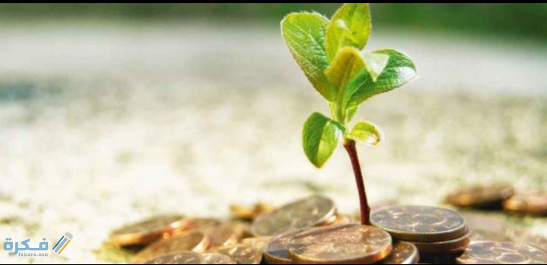 IMG ٢٠٢٠٠٥٢٠ ١٠٤٠٠٢