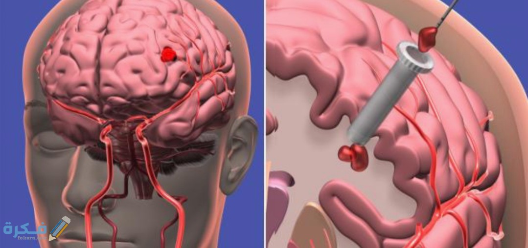 IMG ٢٠٢٠٠٥٢٠ ١٣٤٩٤٥