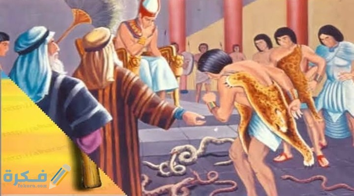 IMG ٢٠٢٠٠٥٢١ ٠٣٠٨٣٠