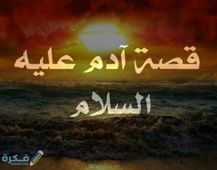 IMG ٢٠٢٠٠٥٢١ ٢٢٥١٤٤