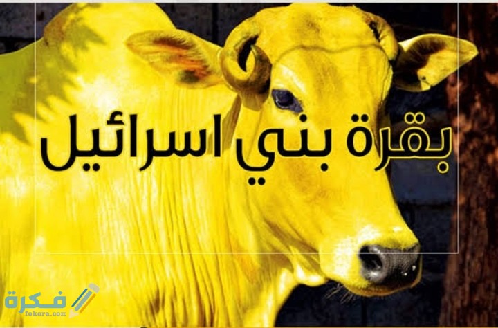 IMG ٢٠٢٠٠٥٢٥ ١٤٢٥٥٠