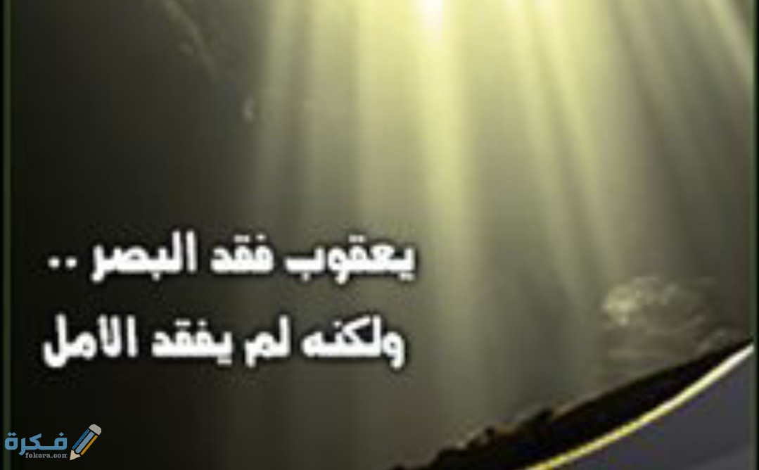 IMG ٢٠٢٠٠٥٣١ ١٠٥٢٤١