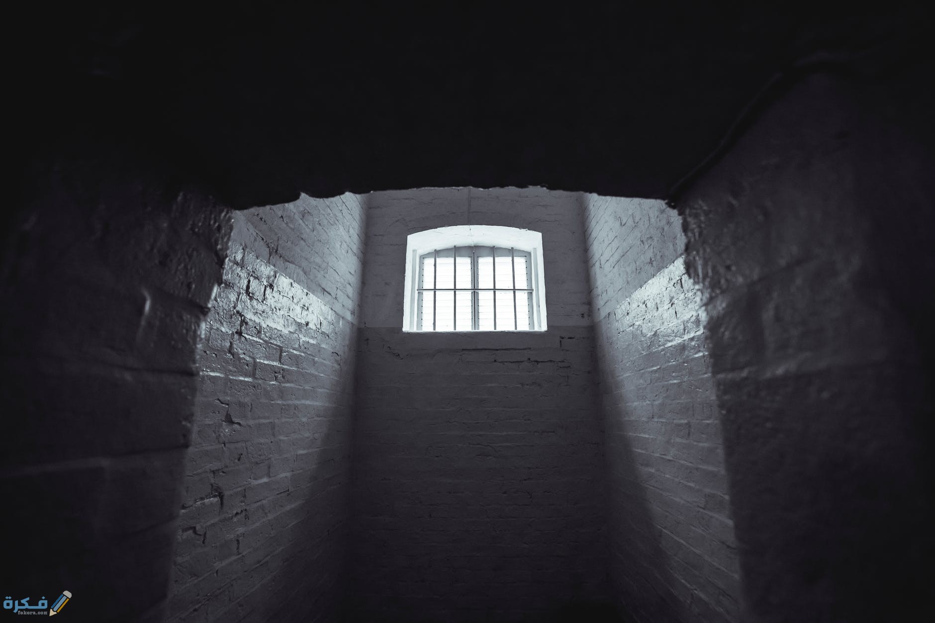 pexels photo 1309902