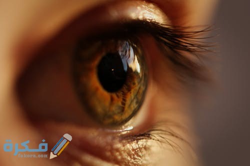 تفسير حلم نزول دم من العين 4 pexels photo 1766002