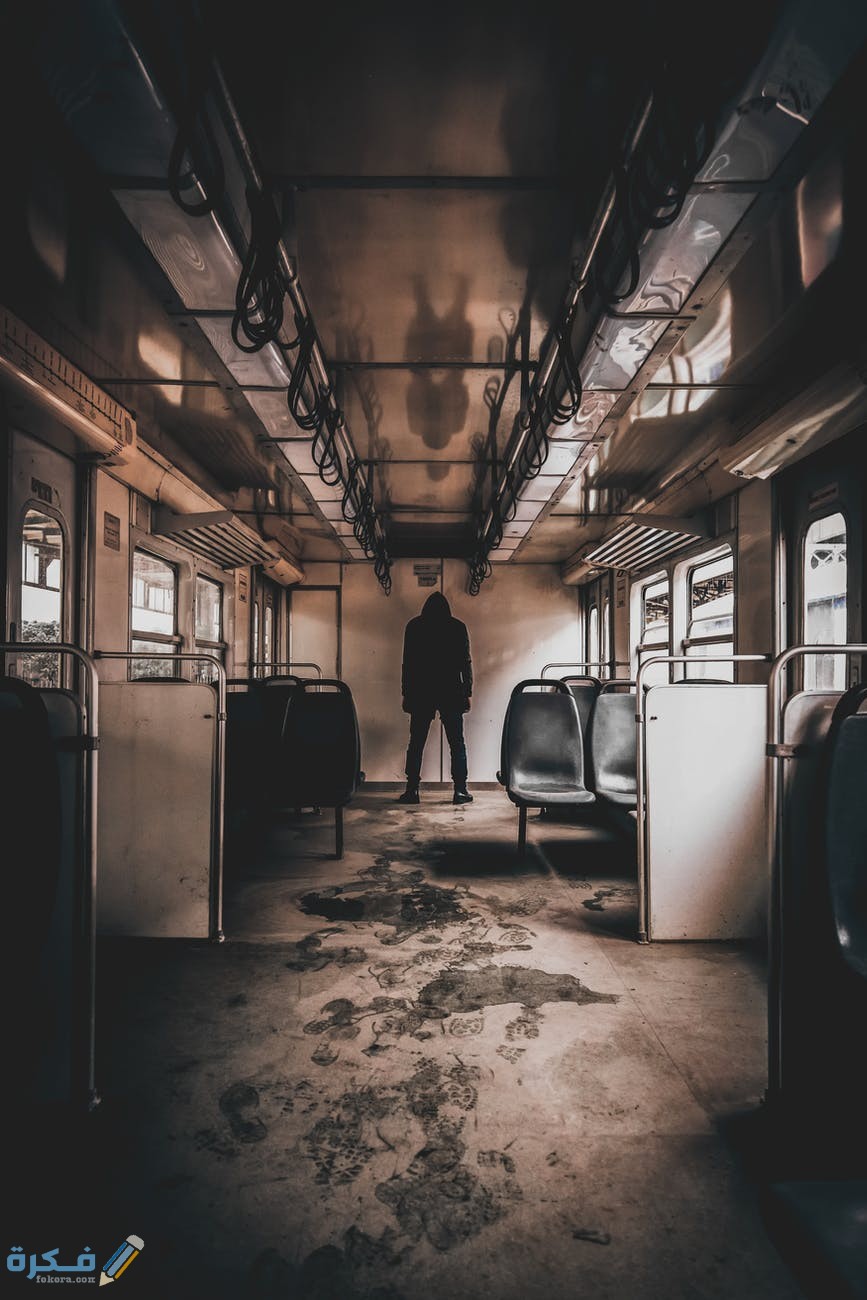 pexels photo 2190511