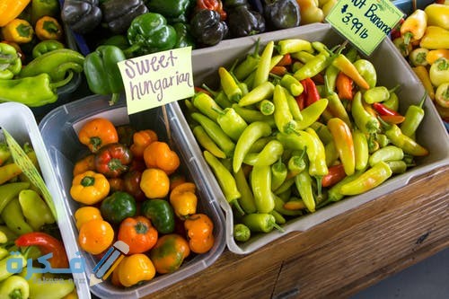 pexels photo 2383314