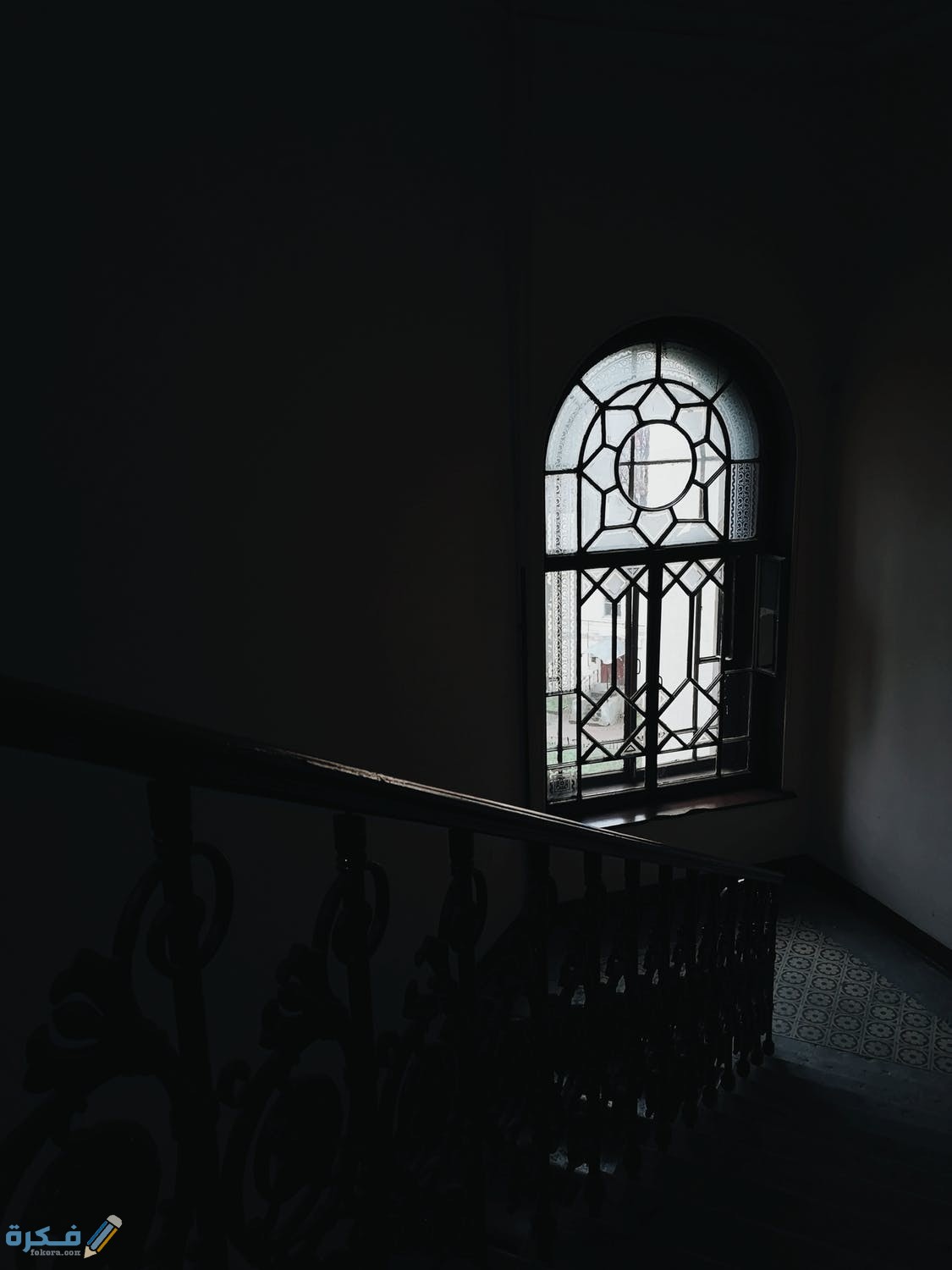 pexels photo 3185041