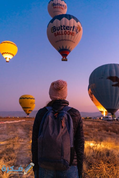 pexels photo 3274557