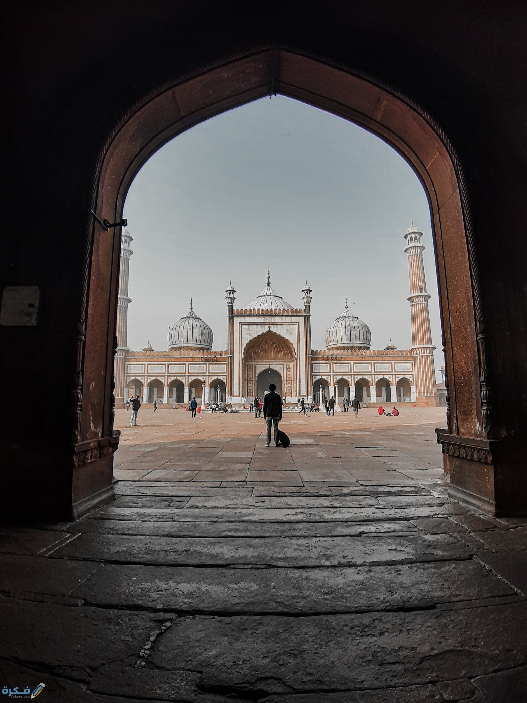 pexels photo 3624566 1