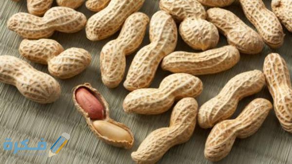 تفسير حلم الفول السودانى