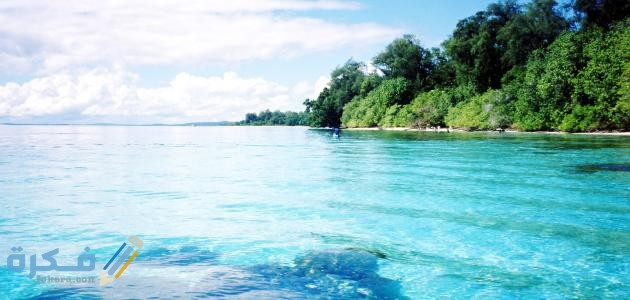 تفسير حلم البحر