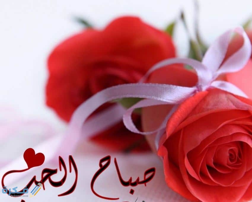 150 من افضل رسائل صباحية للحبيب والعشاق 4 صباح الحب 2