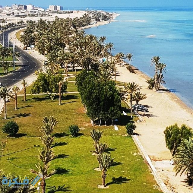 20170709 092634 640x640 1