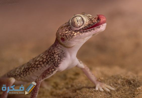 3d61306254d5fb887932a3085a69f5ff