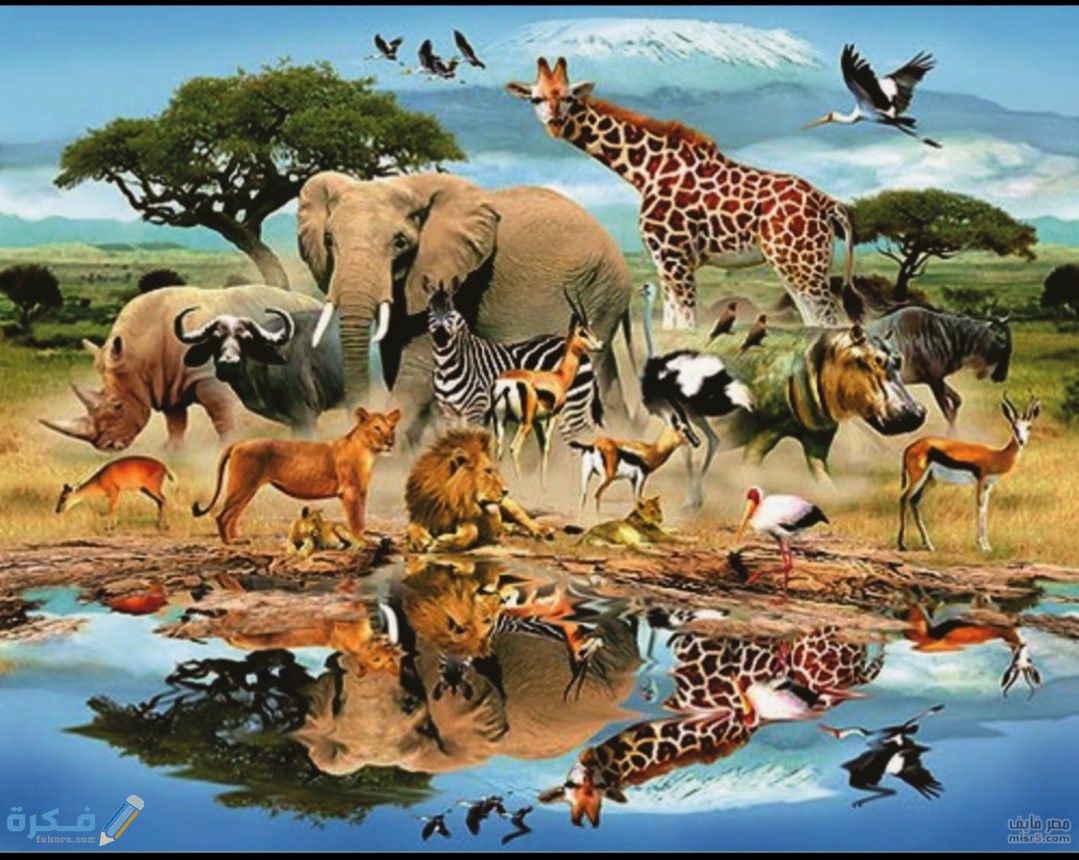 IMG ٢٠٢٠٠٦٠١ ١٠٣٢١٥