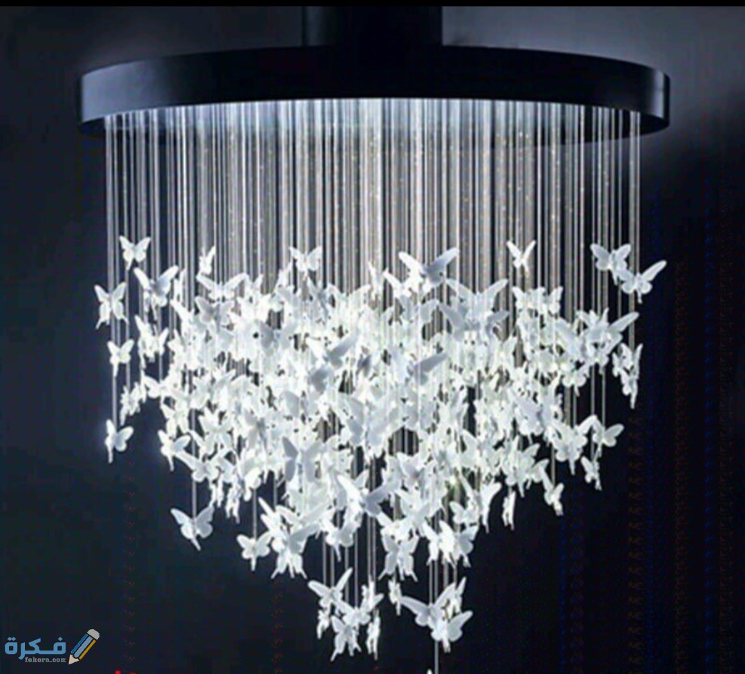 IMG ٢٠٢٠٠٦٠٩ ١٠٥٠٤٧