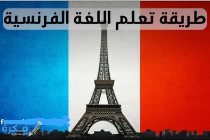 IMG ٢٠٢٠٠٦١٢ ٠٢٢٣٠٤