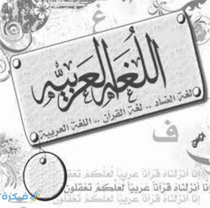 IMG ٢٠٢٠٠٦٢٢ ٠٢٣١٤٤