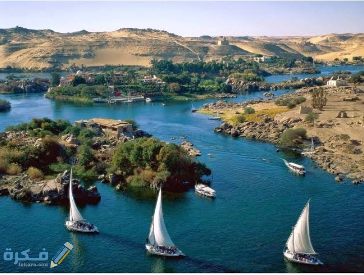 IMG ٢٠٢٠٠٦٢٢ ٠٢٣١٥٥