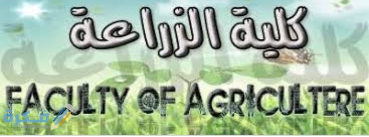 IMG ٢٠٢٠٠٦٢٨ ٠١٢٤٠٧