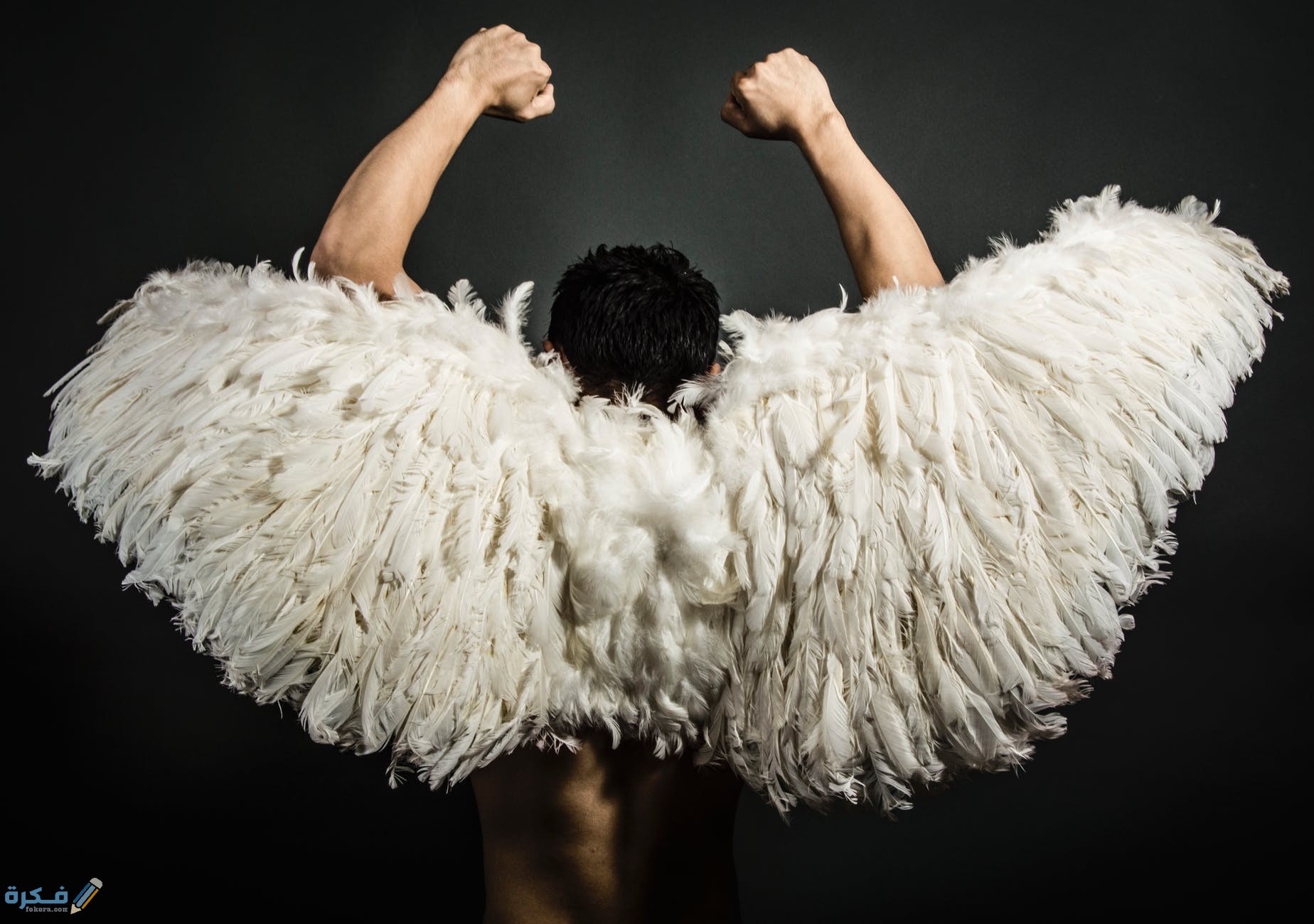 pexels photo 963442 1