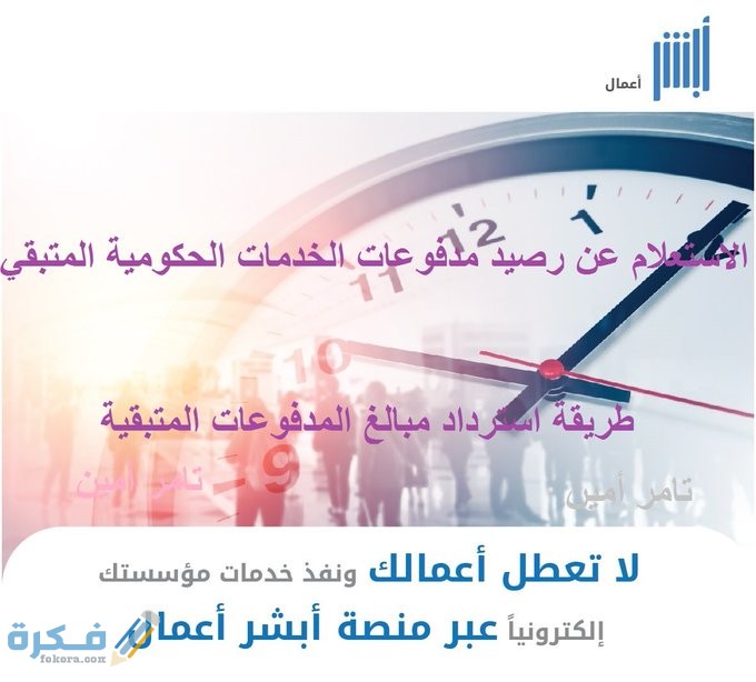 لاستعلام عن رصيد المدفوعات