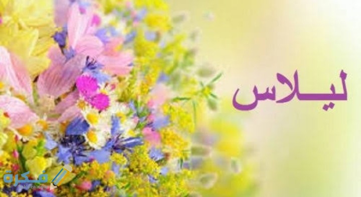 IMG ٢٠٢٠٠٧٠٣ ١٦٤١٥٦