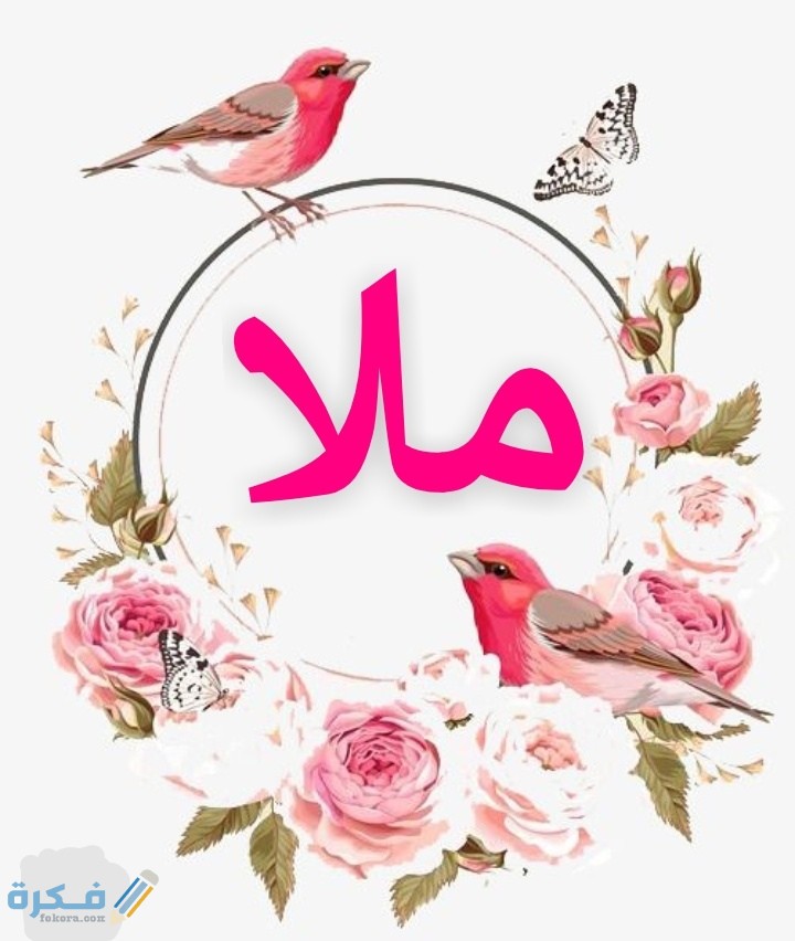 معنى اسم ملا Mla وشخصيتها وحكم التسمية في الاسلام 5 IMG ٢٠٢٠٠٧٠٥ ٠٢٠١٣٦