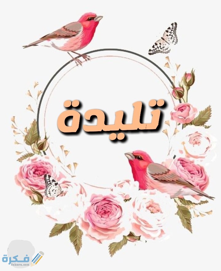 IMG ٢٠٢٠٠٧٠٦ ٠٢٥١١٩