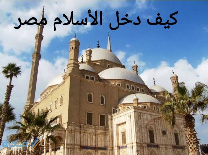 IMG ٢٠٢٠٠٧١٣ ٠٠٥٨١٩