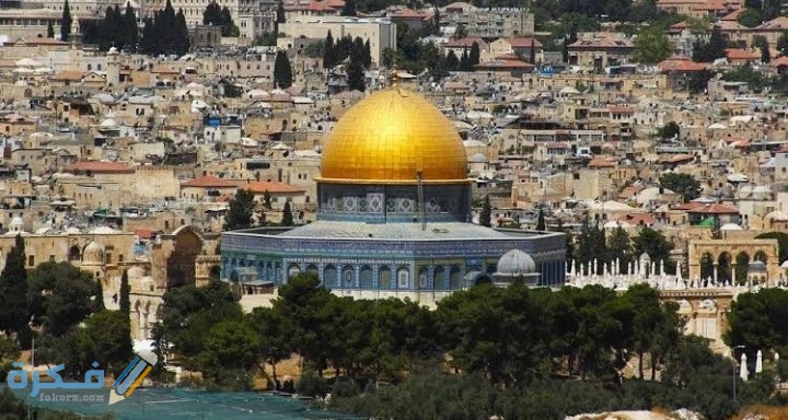 IMG ٢٠٢٠٠٧١٣ ٢١٠٠٣٨