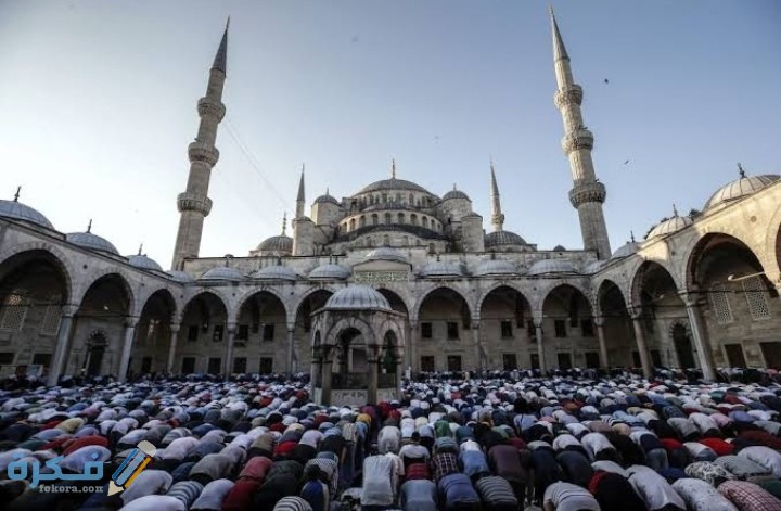 IMG ٢٠٢٠٠٧١٣ ٢١٠١٤٢