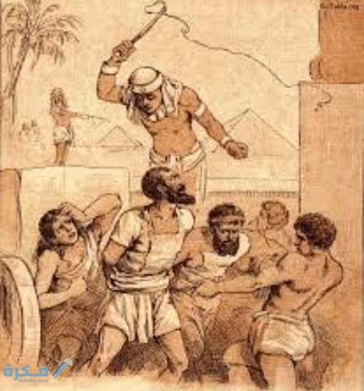 IMG ٢٠٢٠٠٧١٥ ٢١٥٥١٤