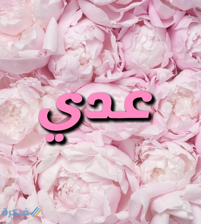 IMG ٢٠٢٠٠٧١٧ ٠٢٢٦٠٦