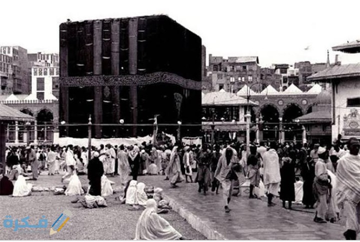 IMG ٢٠٢٠٠٧٣٠ ٠٣٢٥٢٠