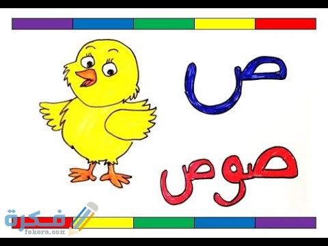 ما اسم حيوان بحرف ص الصاد 4 hqdefault 2