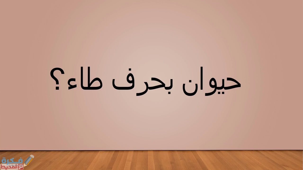 yyyyyyyyyyyyyyyytyytyty