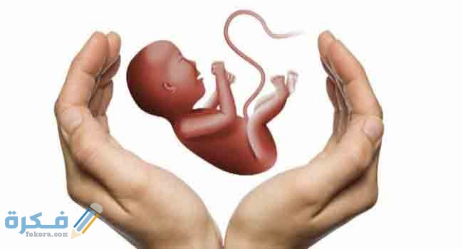 شرح خطوات معرفة نوع الجنين بعد الاجهاض 4 الاجهاض