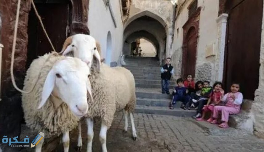 أجمل 300+ رسائل وعبارات عيد الأضحى المبارك قصيرة 2026 23 عيد الاضحى