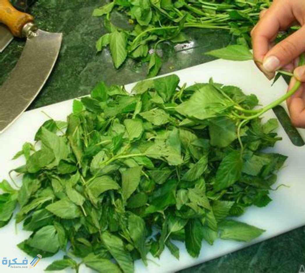 IMG ٢٠٢٠٠٨٠٣ ١١٠٩٠١