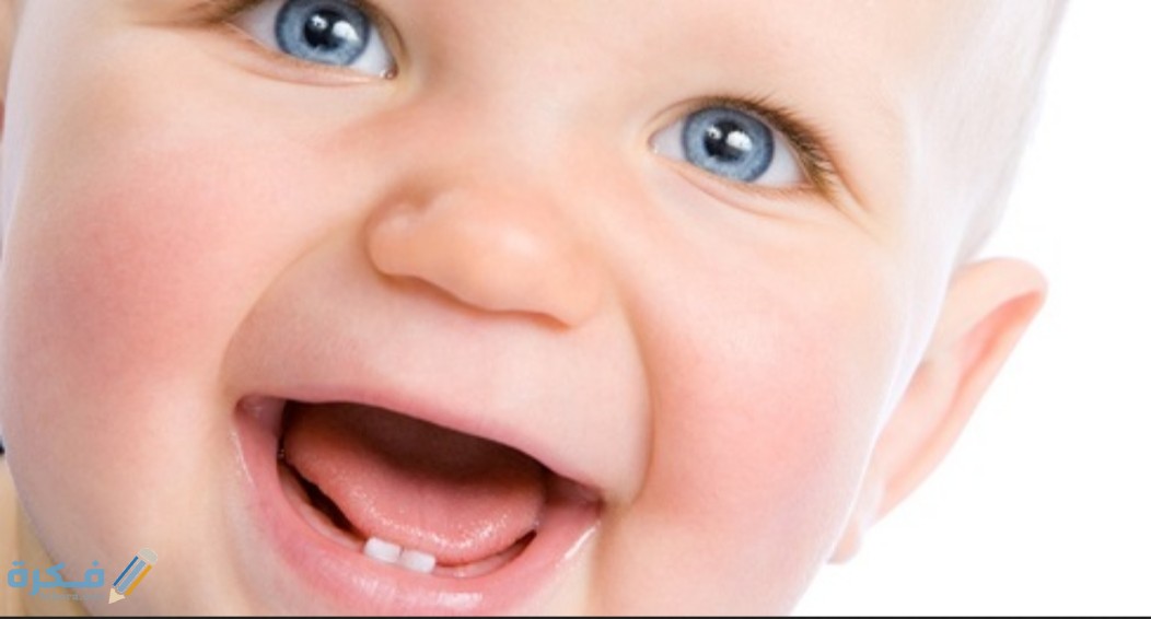 IMG ٢٠٢٠٠٨٠٣ ١٢٠٢٣٧