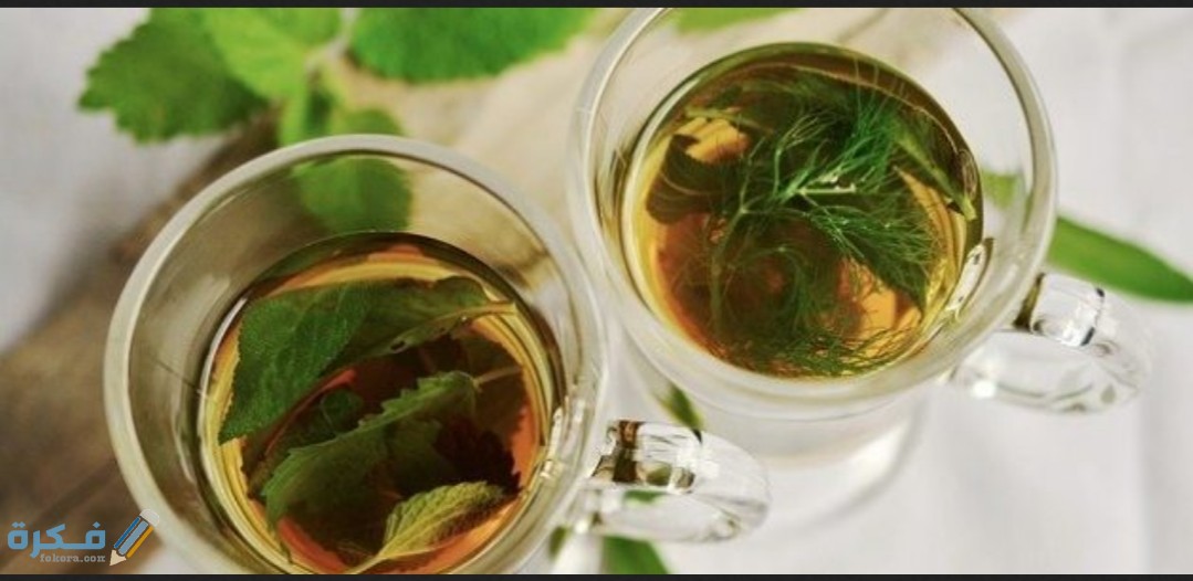 IMG ٢٠٢٠٠٨٠٣ ١٣٠٦٠٢