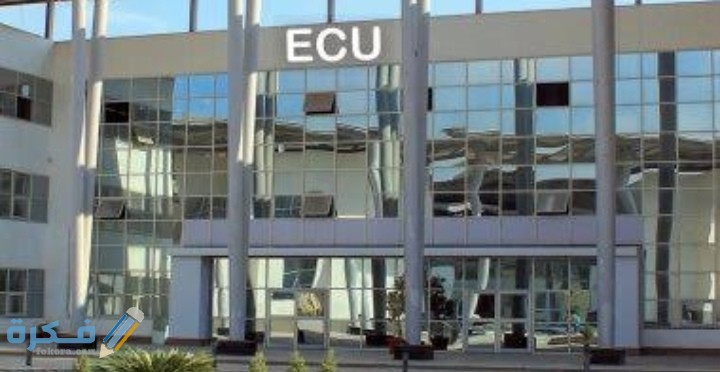 IMG ٢٠٢٠٠٨٠٦ ٠٩١١٥٥