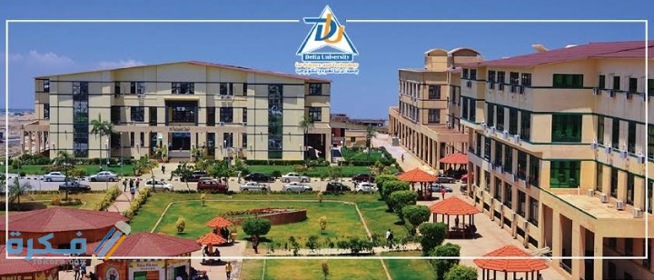 IMG ٢٠٢٠٠٨٠٦ ٢٢٠٢٥٤