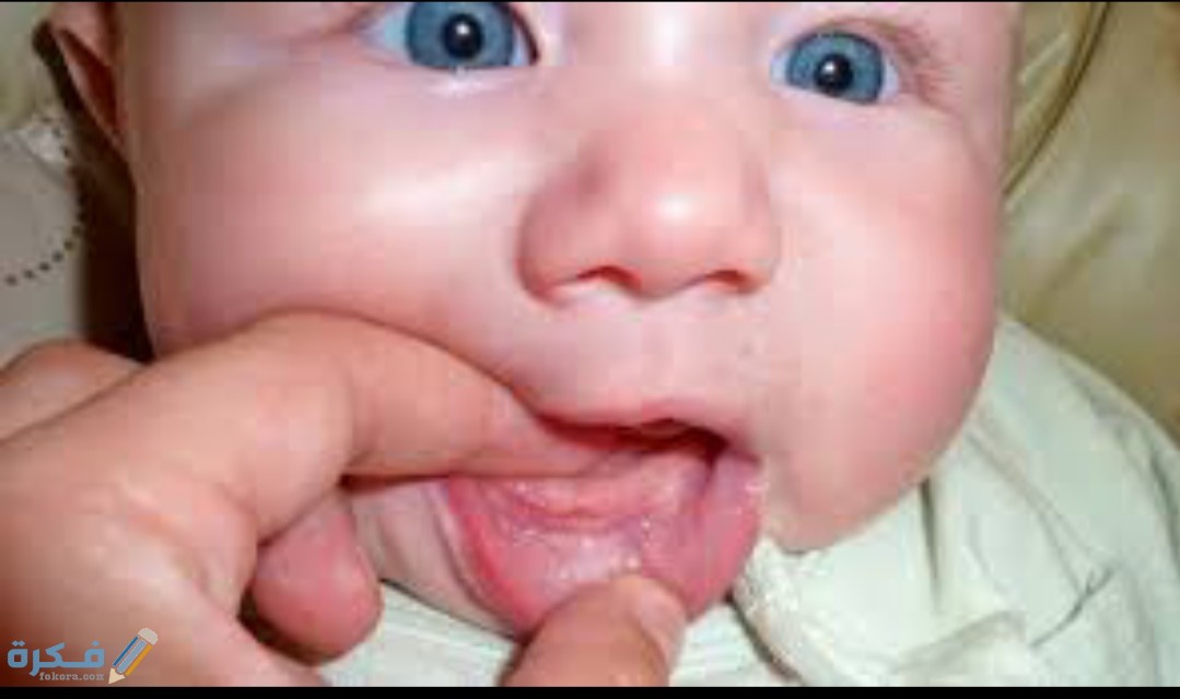 IMG ٢٠٢٠٠٨٠٩ ١٢٥٠٣٥