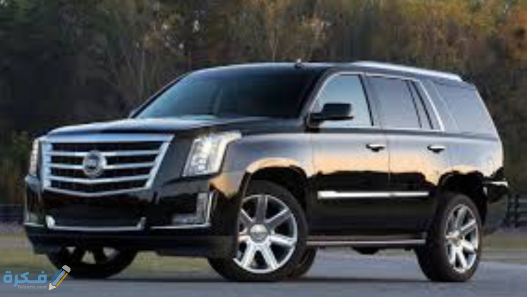 IMG ٢٠٢٠٠٨١١ ١٣٤٢٣٣