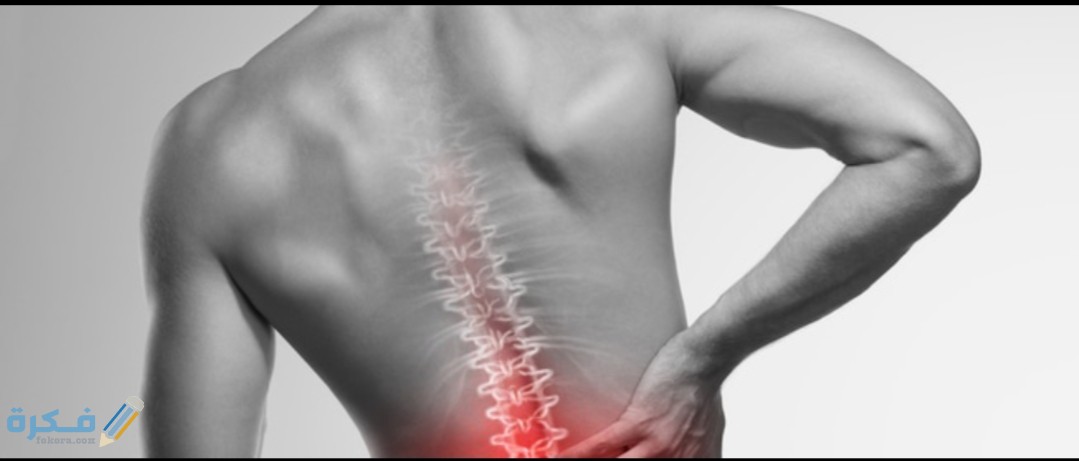 IMG ٢٠٢٠٠٨١٤ ١٢٥٨٣٣