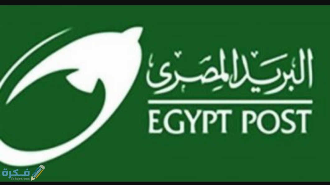 IMG ٢٠٢٠٠٨١٧ ١٢١٥١٤