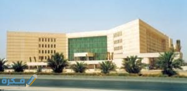 IMG ٢٠٢٠٠٨١٩ ٠٢٠٢٤٥