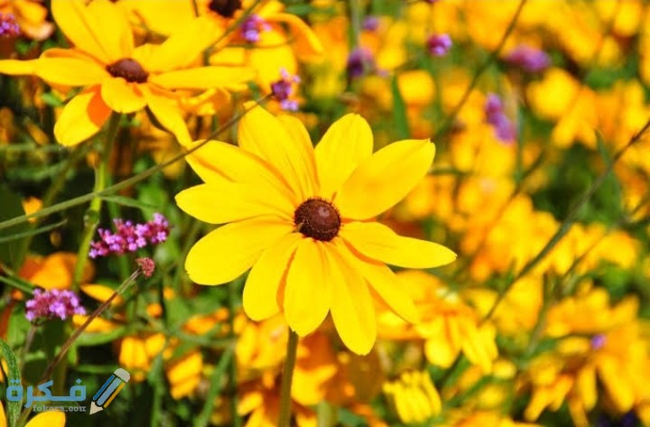 IMG ٢٠٢٠٠٨٢٢ ٠١٤٨٥٣